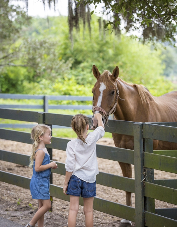 Kids petting a horse at lawton stables