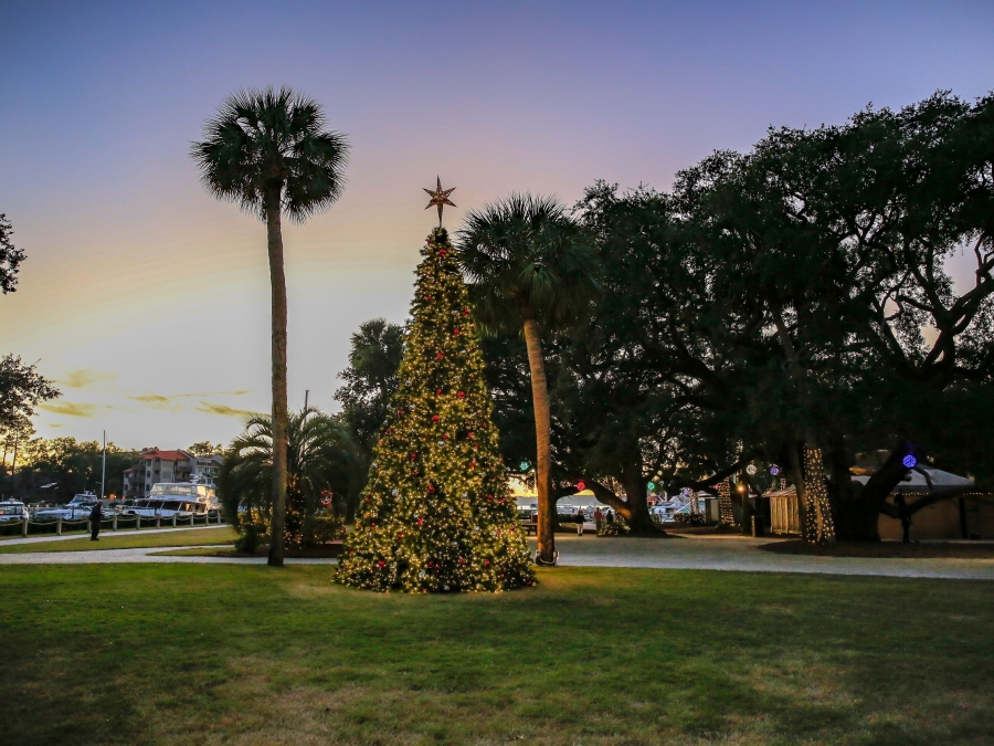 A beautifully decorated Christmas tree glows with twinkling lights and ornaments on a grassy lawn near the waterfront at dusk. Framed by towering palm trees and sprawling live oaks, the festive display creates a warm holiday scene against the evening sky.