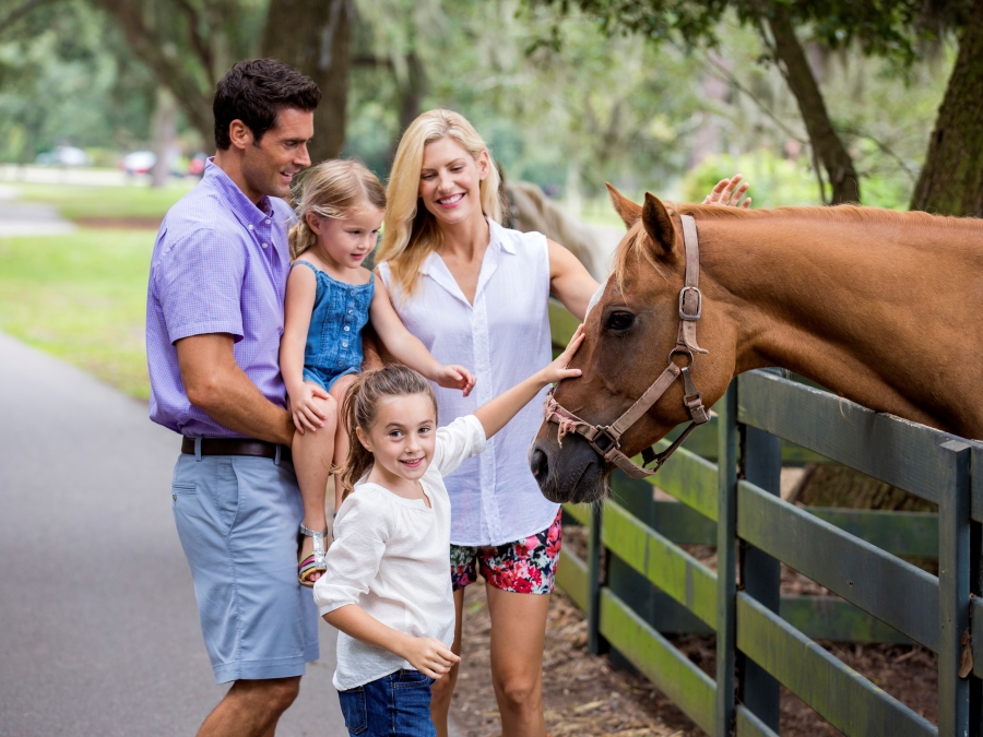 horse-lawton-stables