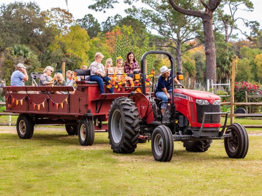 Thanksgiving Wagon Ride 