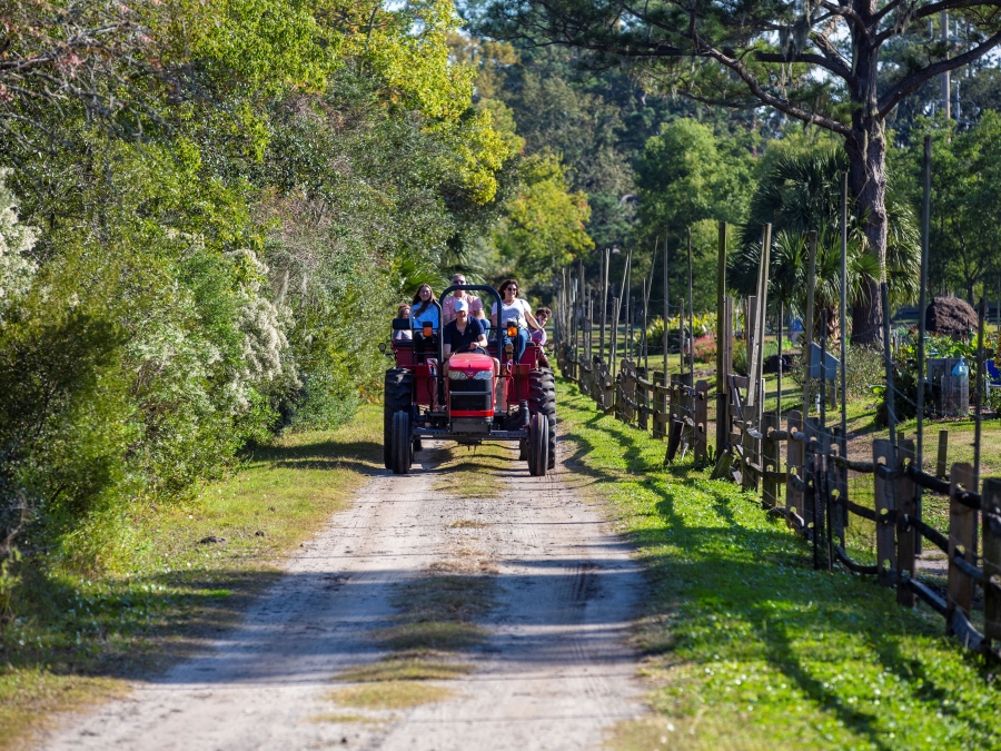 Spring Wagon Ride 