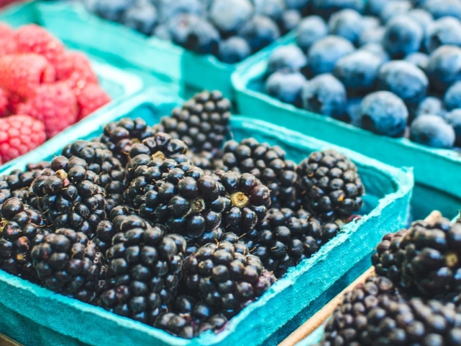 farmers-market-2025.jpg