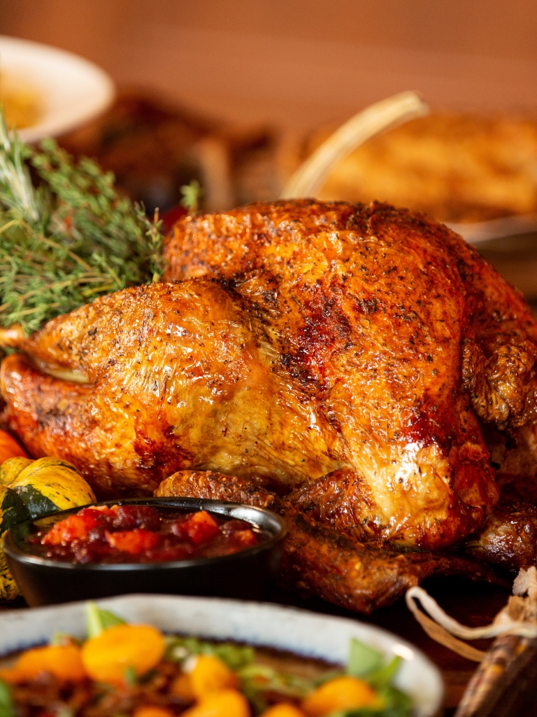 thanksgiving-links-turkey