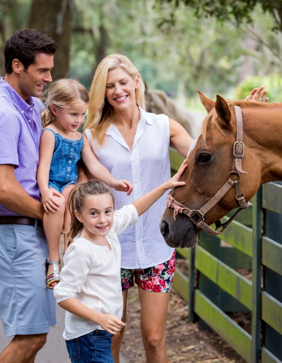 Family petting a horse 