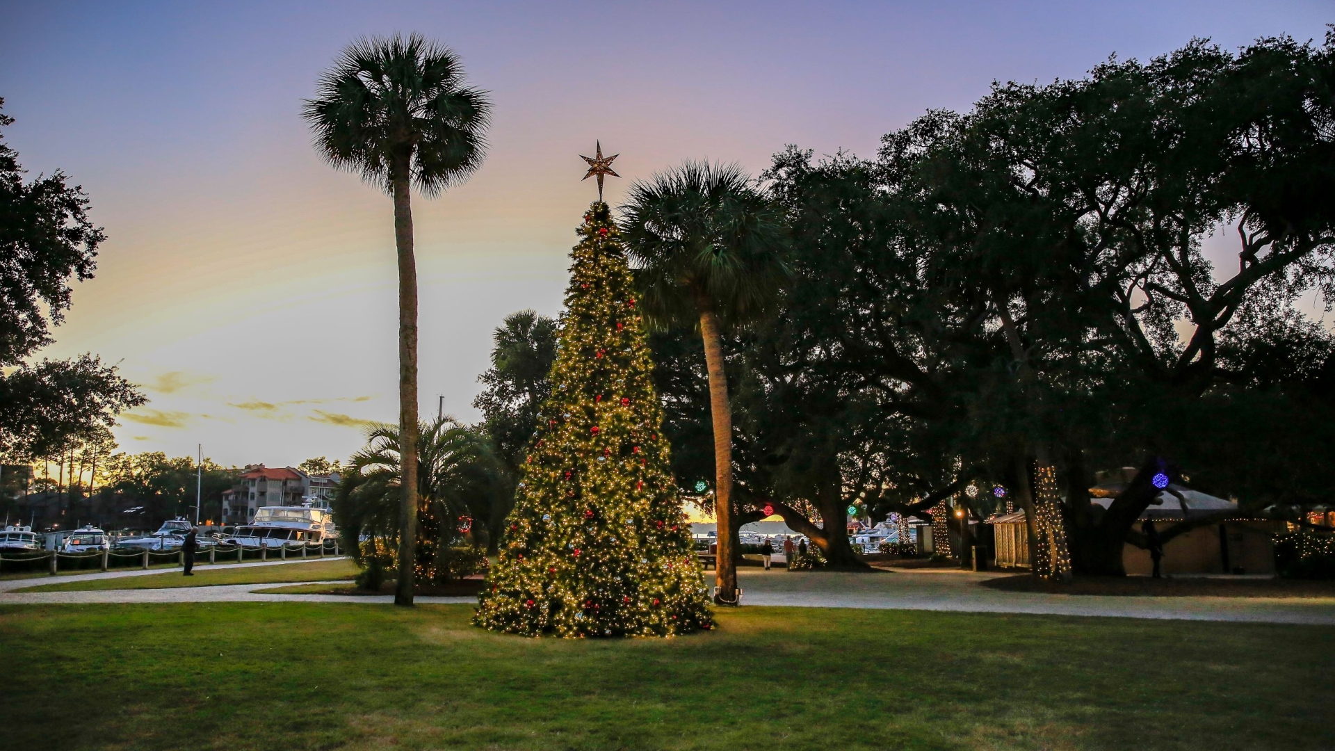 Harbour Town Lights