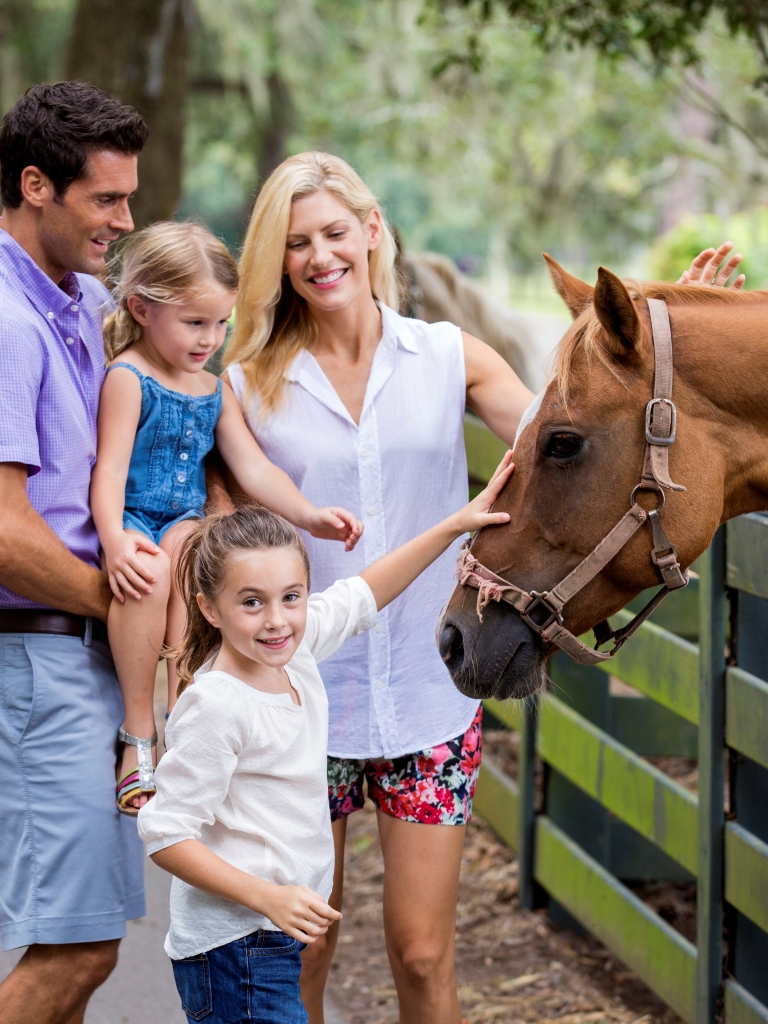 horse-lawton-stables