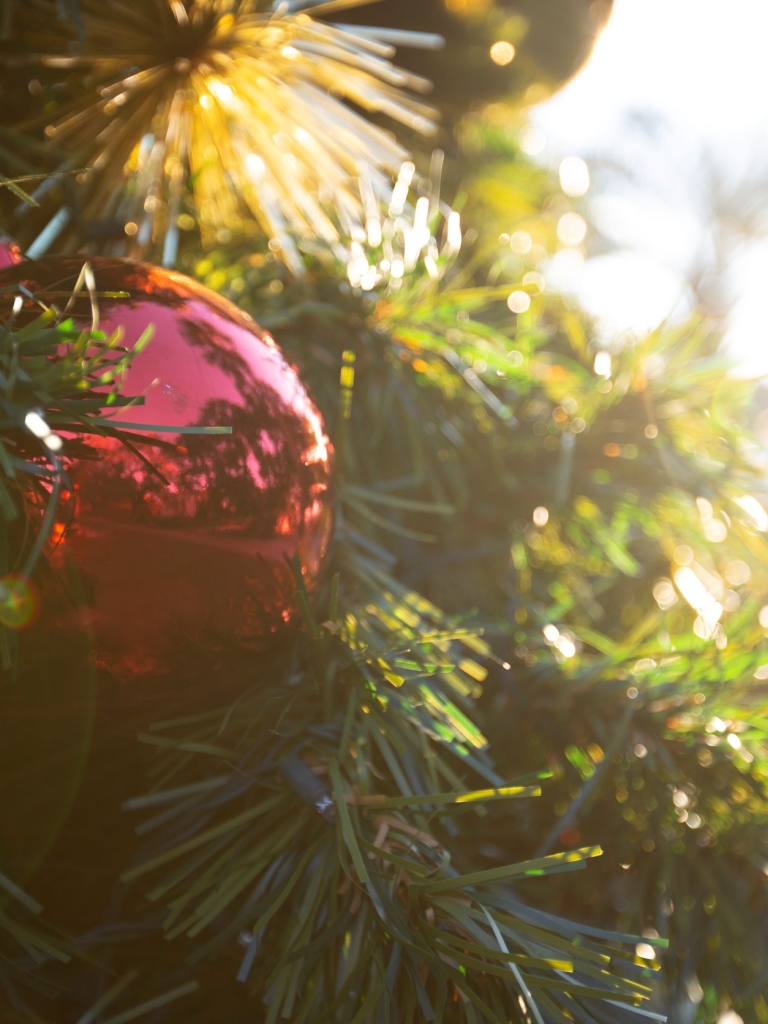 An ornament on a Christmas tree. 