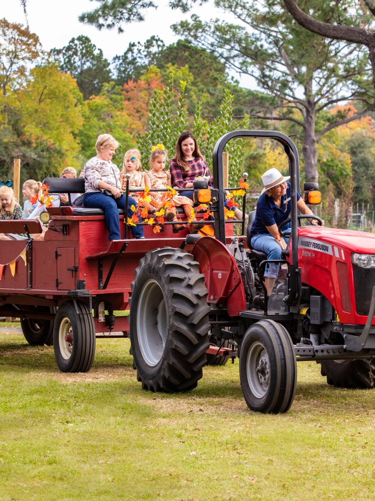 Thanksgiving Wagon Ride 