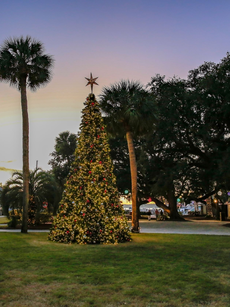 The Harbour Town Christmas Tree lit for Harbour Town Lights
