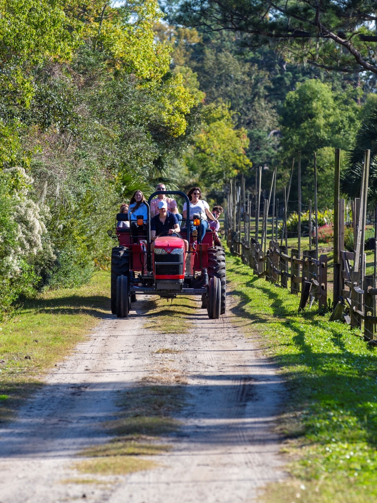 Spring Wagon Ride 