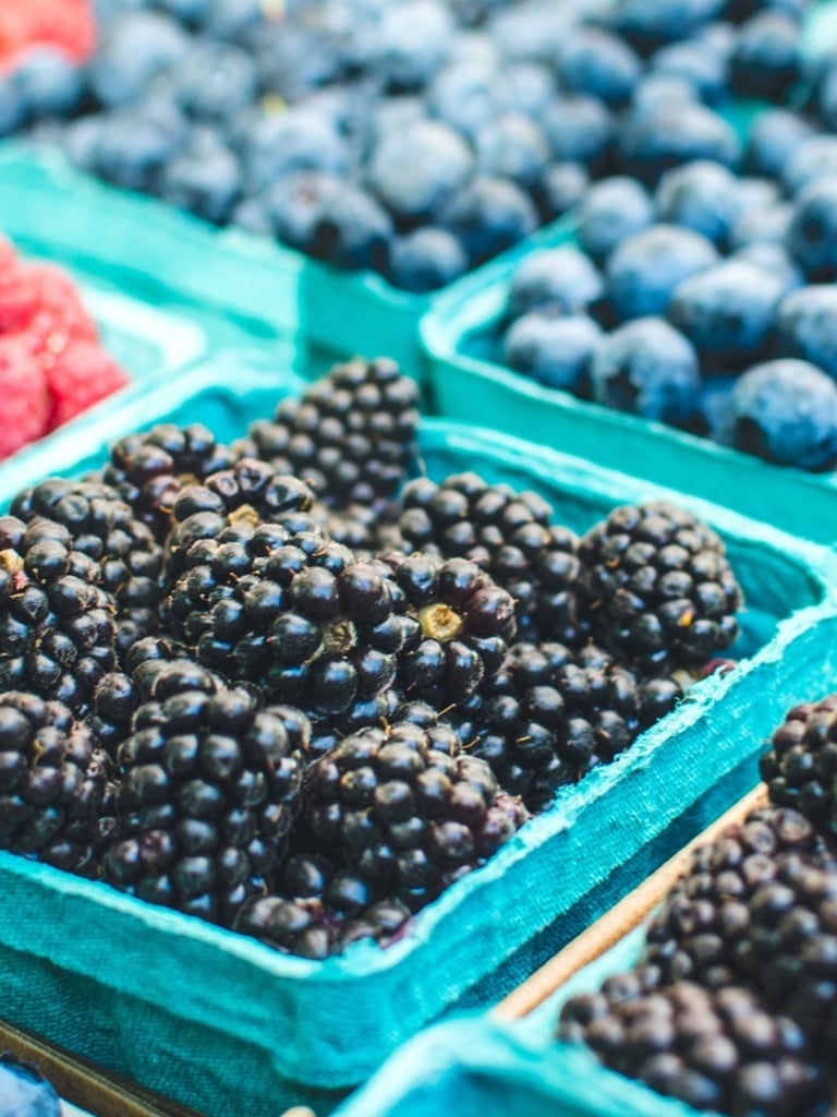 farmers-market-2025.jpg