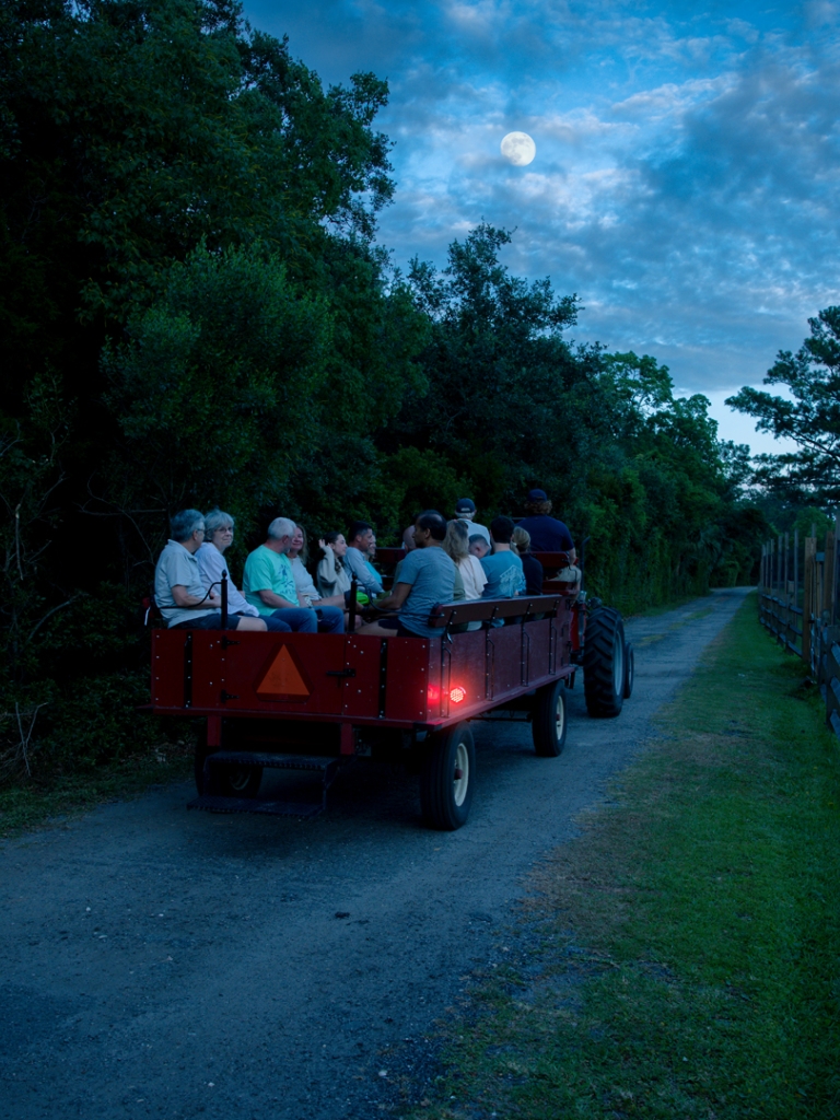 night-at-the-preserve-banner