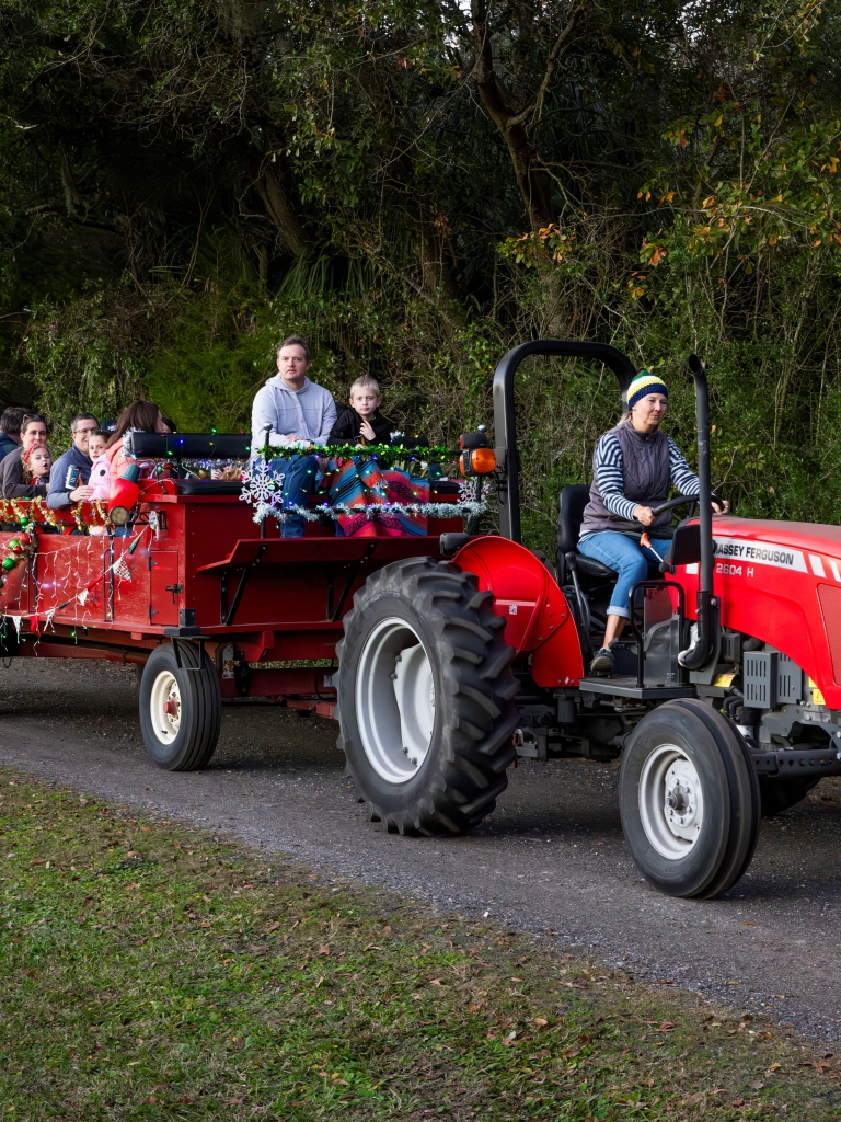 merry-wagon-ride-24-AB3A7875.jpg