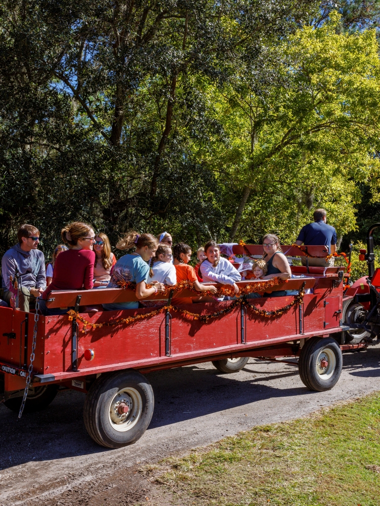 halloween-wagon-ride