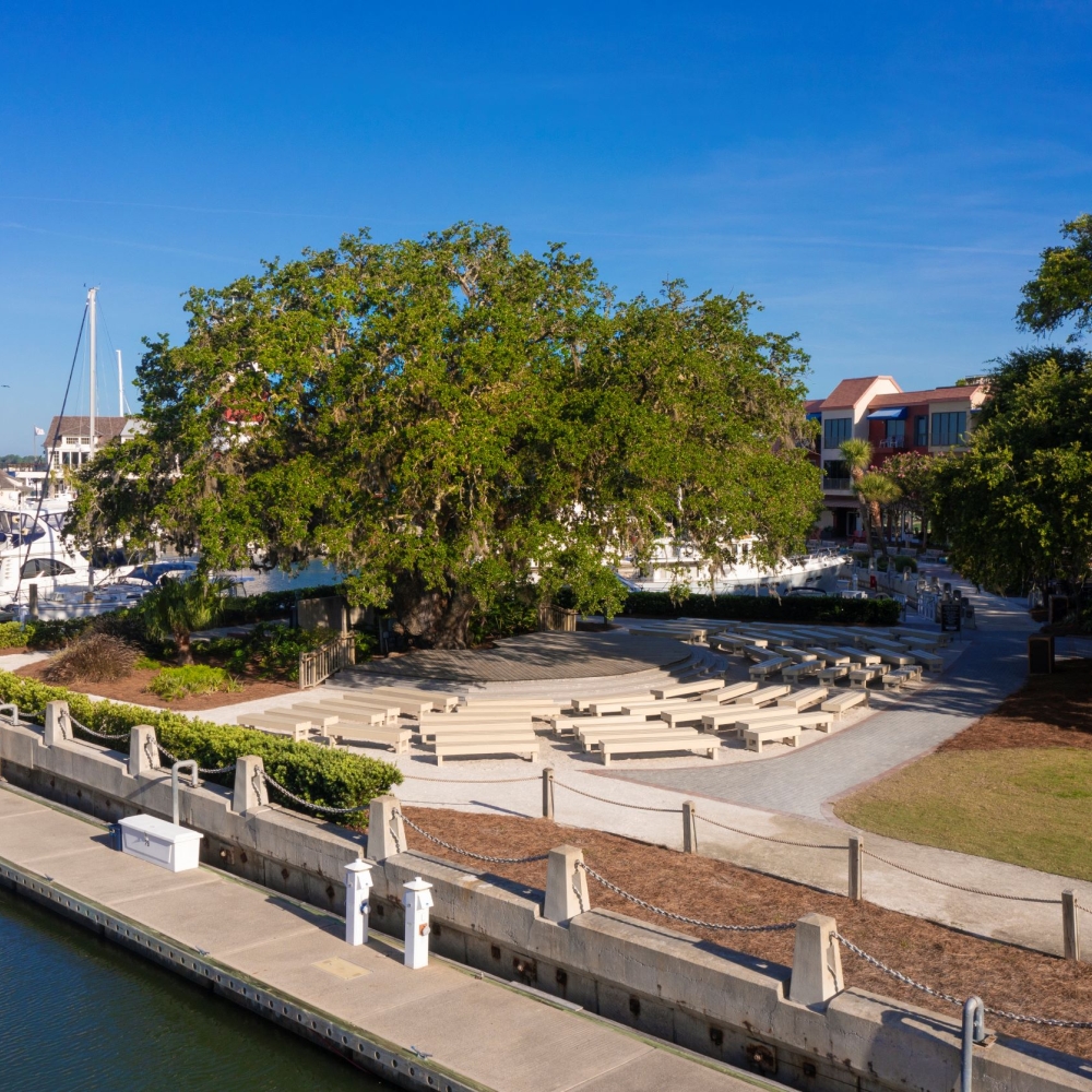 The Liberty Oak in Harbour Town