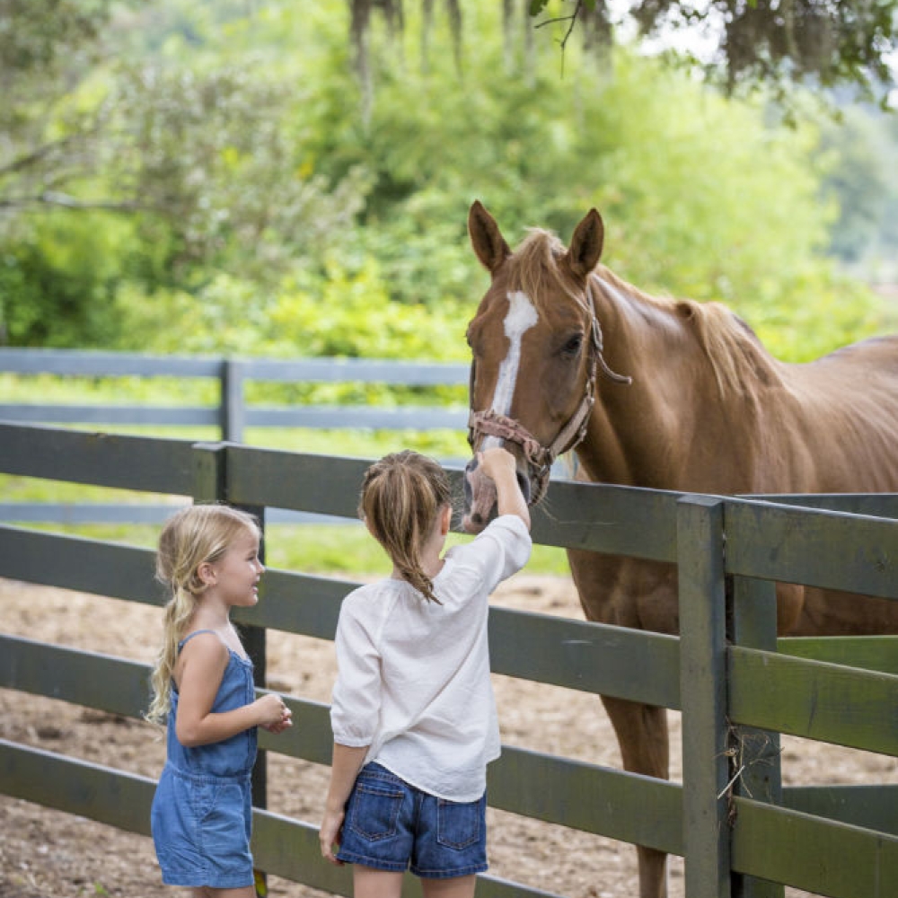 girls petting a horse